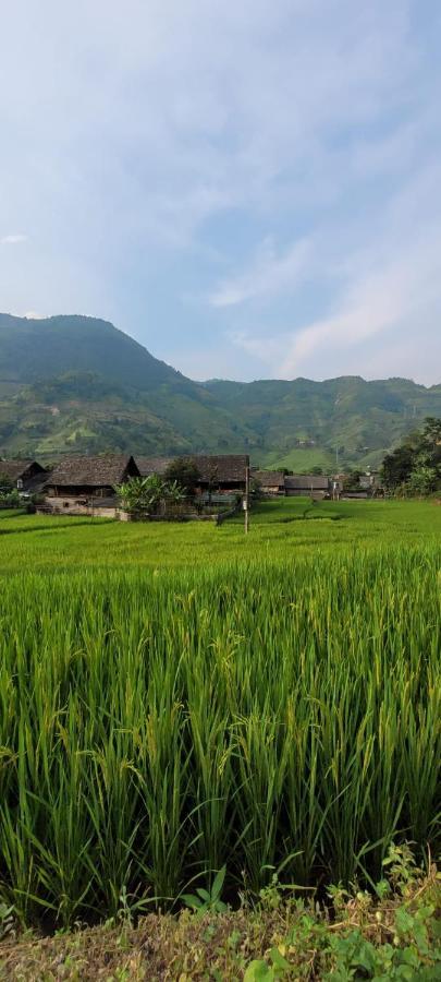 Organic Farm Homestay Sapa Exteriér fotografie