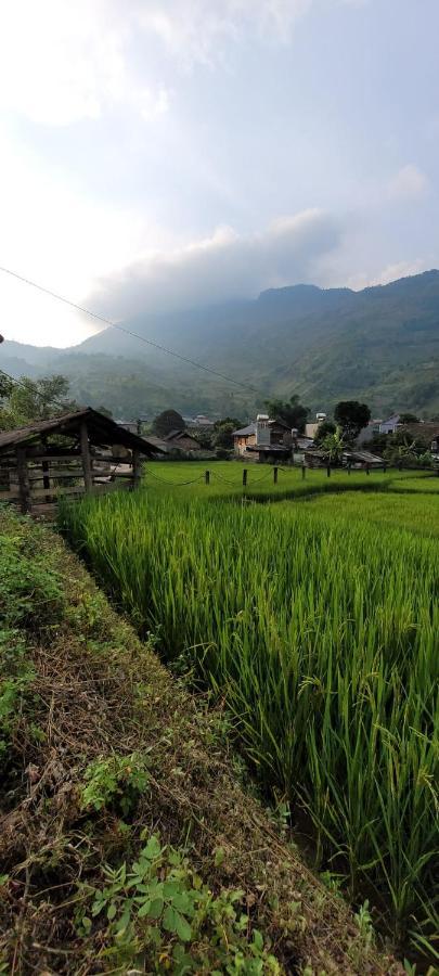 Organic Farm Homestay Sapa Exteriér fotografie