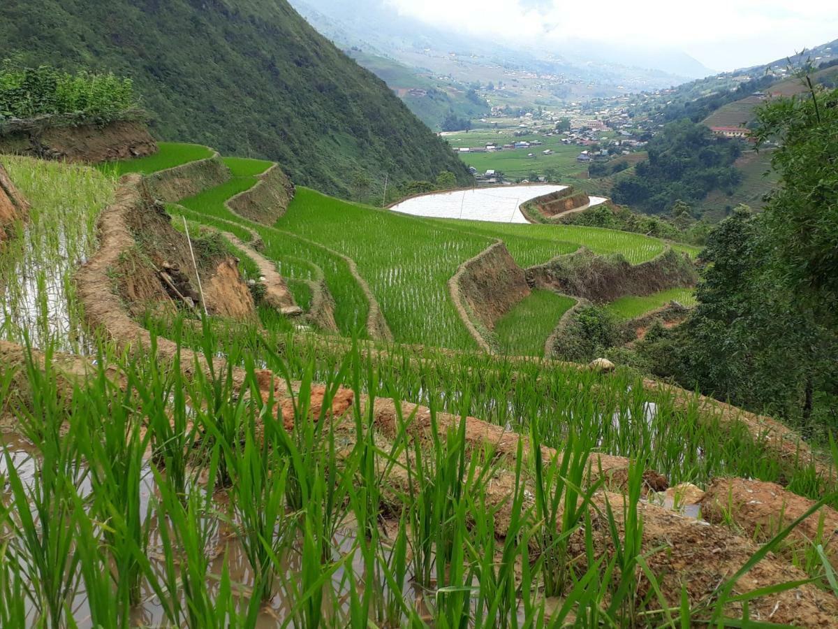 Organic Farm Homestay Sapa Exteriér fotografie