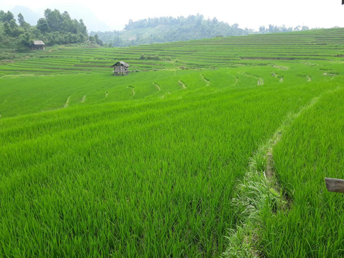 Organic Farm Homestay Sapa Exteriér fotografie